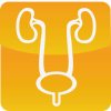 Urology